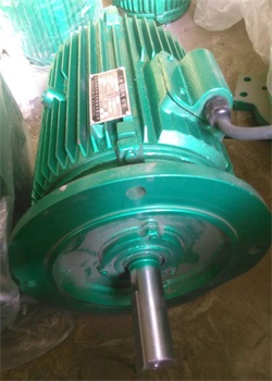 冷卻塔專(zhuān)用電動(dòng)機(jī)的保養(yǎng)